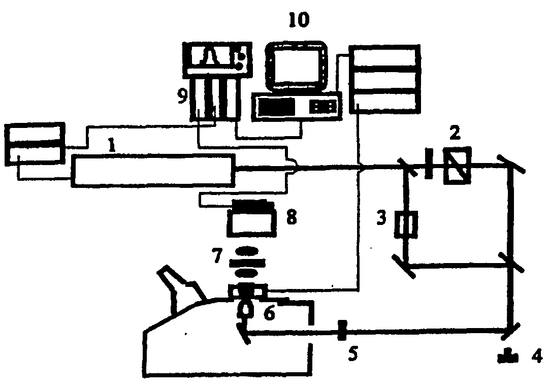 Polynucleotide Sequencing Method