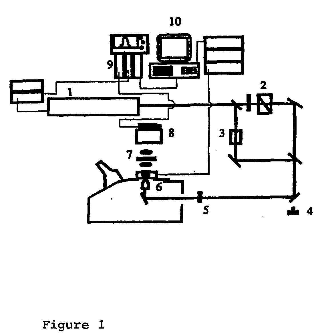 Polynucleotide Sequencing Method