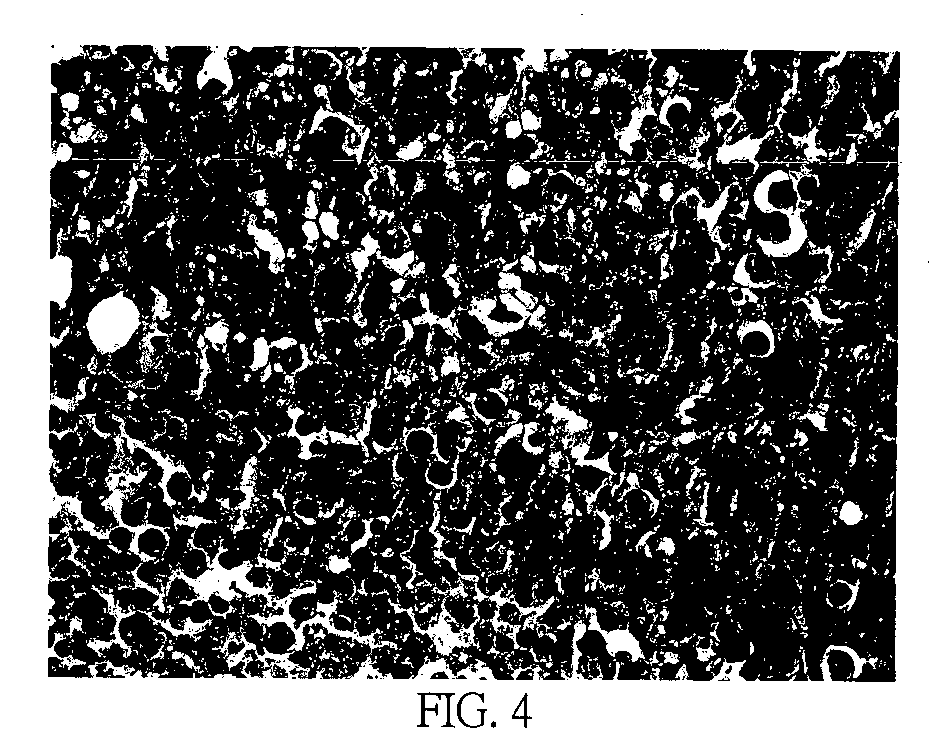 Method for extracting extract containing lectin from Chaenomeles lagenaria, Chaenomeles lagenaria extract, medical composition for inhibiting tumor growth, biological reagent for detecting glycophorin A on cell surface, and blood typing kit