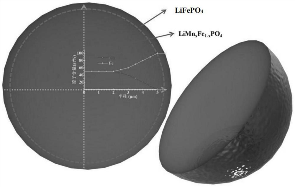 Lithium ferric manganese phosphate positive electrode material with iron and manganese elements in full-concentration gradient distribution and preparation method of lithium ferric manganese phosphate positive electrode material