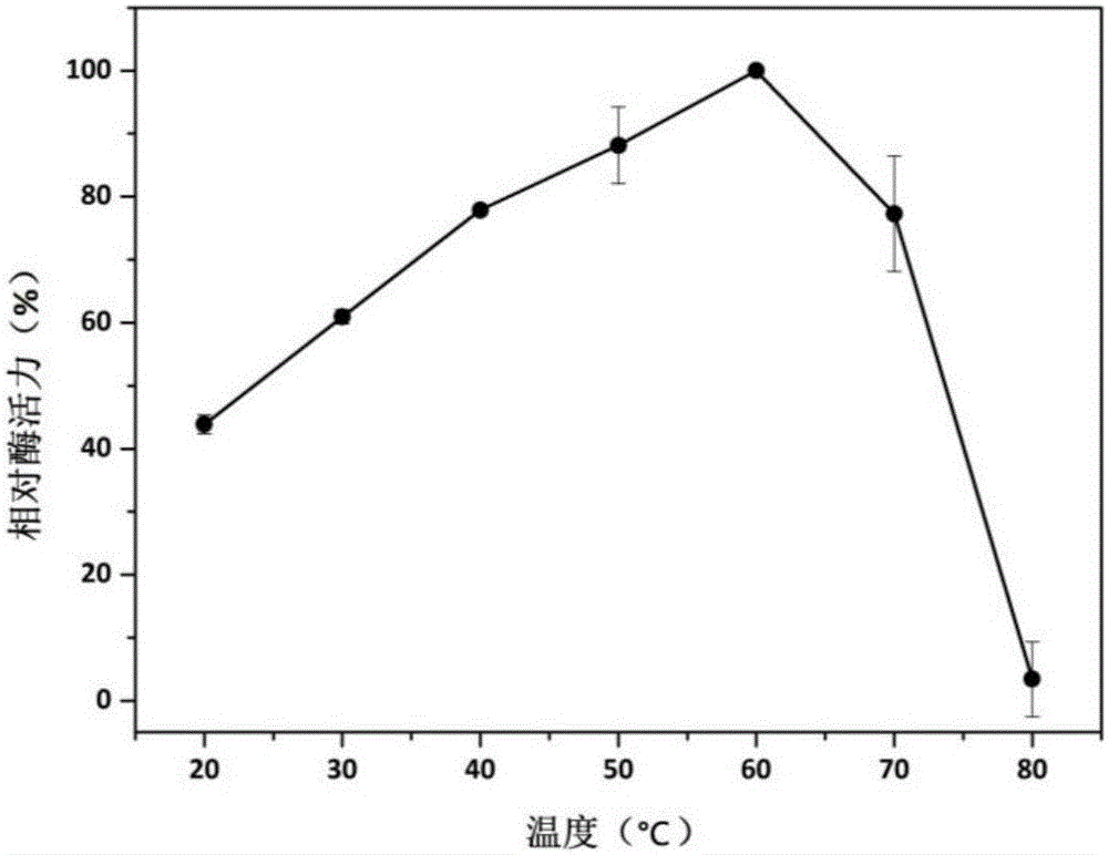 Manganese peroxidase MNP-1 and gene and application thereof