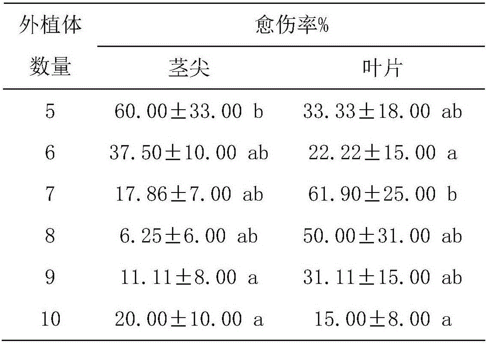 A kind of construction method of lotus regeneration system