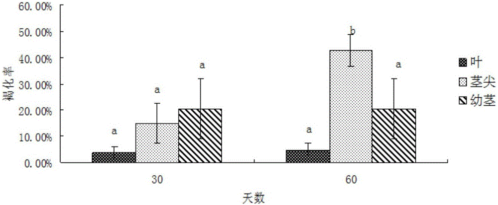 A kind of construction method of lotus regeneration system