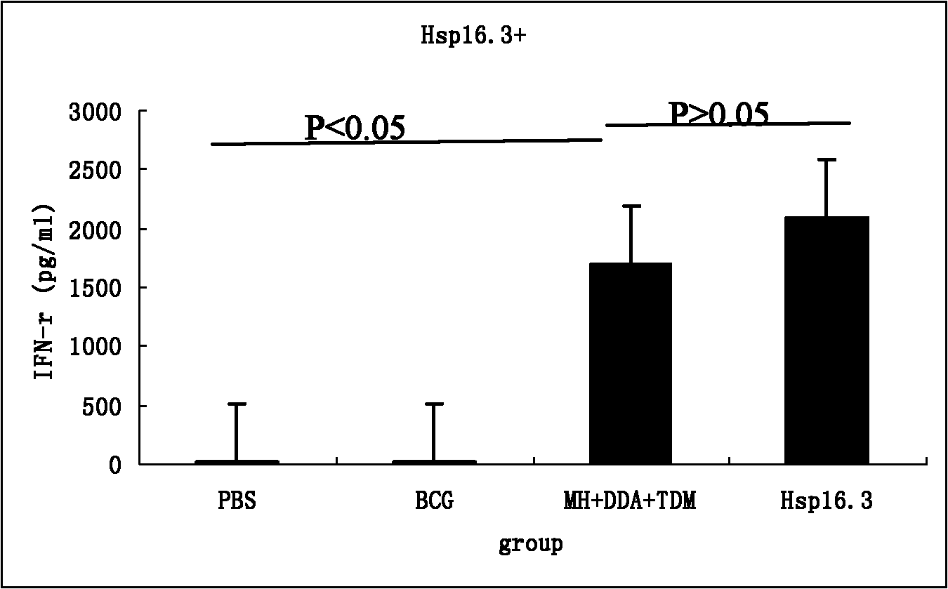 Construction method of mycobacterium tuberculosis fusion protein Mtb 10.4-Hsp16.3, expression method thereof, purification method thereof and application thereof