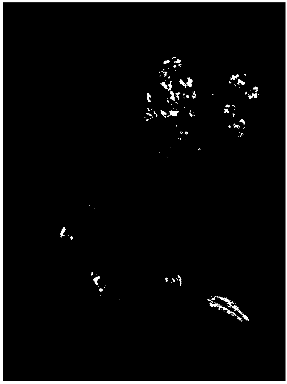 Method for improving latent image boundary based on edge detection error diffusion algorithm