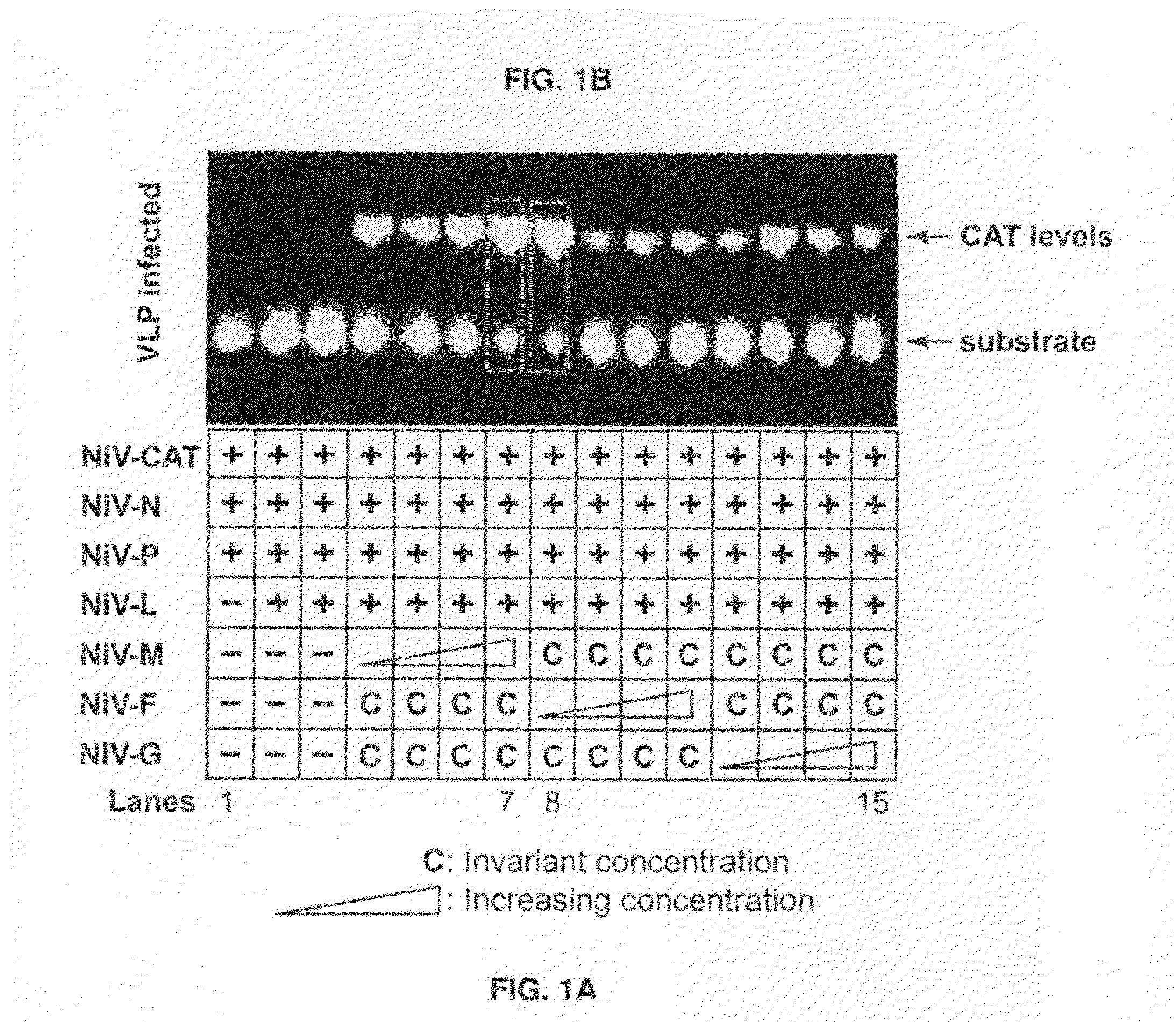 Fusogenic virus-like particles and uses thereof