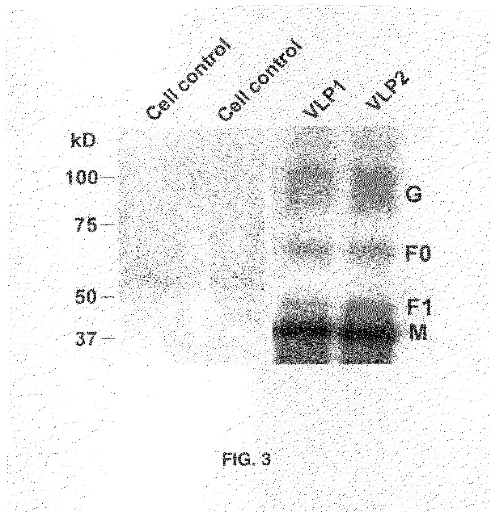 Fusogenic virus-like particles and uses thereof