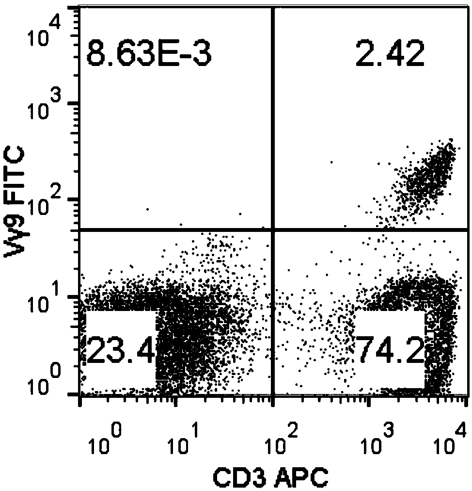 Method for amplifying killing activity gamma-delta T cell by induction in vitro