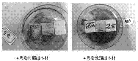 Antiseptic and mildew-proof agent for wooden and/or bamboo product and application thereof
