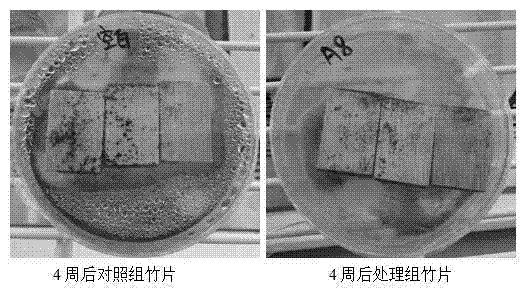 Antiseptic and mildew-proof agent for wooden and/or bamboo product and application thereof