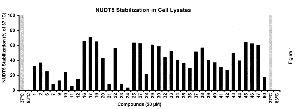 Novel functionalized purine-2,6-diones and their use in medicine