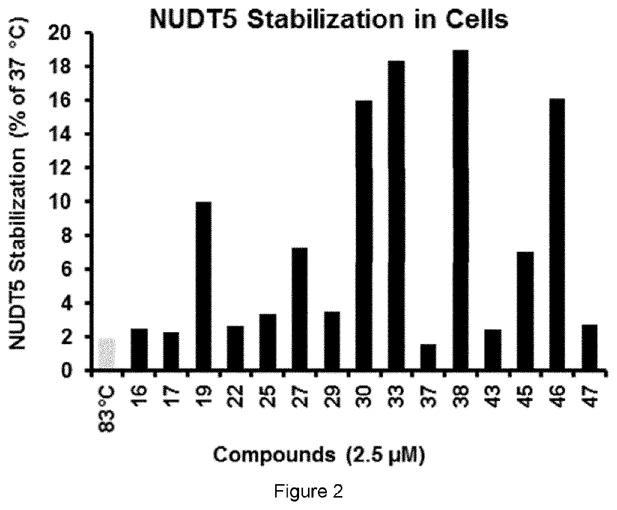 Novel functionalized purine-2,6-diones and their use in medicine