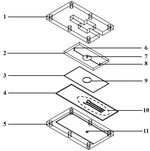 Preparation method of magnetic functionalized electrochemical microfluidic sensor