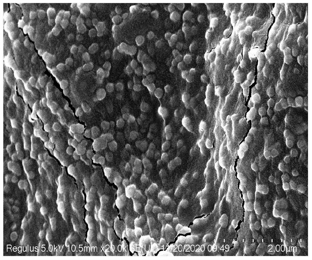A method for preparing multifunctional sodium alginate scaffolds embedded with drug-loaded microspheres using 3D printing technology based on in-situ emulsification