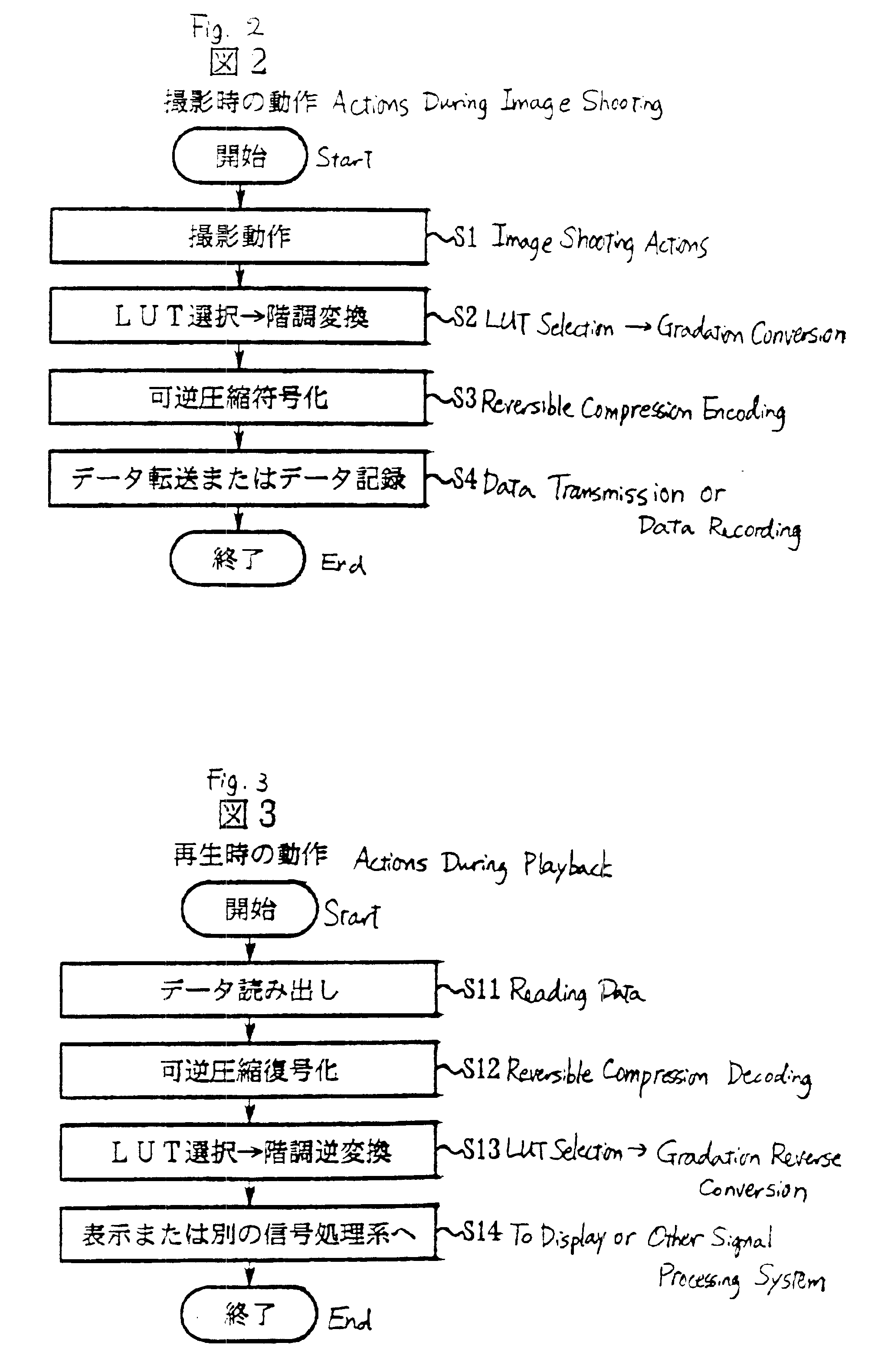 Electronic camera for performing gradation conversion on an image signal