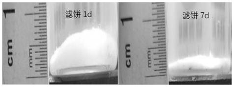Preparation method and application of self-degradable leakage-proof plugging polymer composite material suitable for deepwater and ultra-deepwater drilling fluids