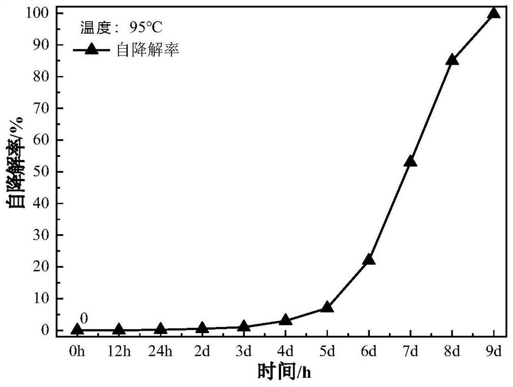 Preparation method and application of self-degradable leakage-proof plugging polymer composite material suitable for deepwater and ultra-deepwater drilling fluids