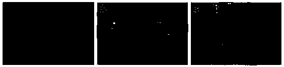 N-doped MXene material and preparation method and application thereof