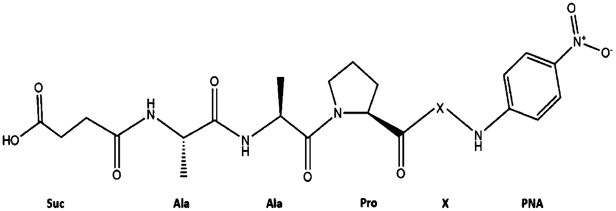 New method for measuring activity of protease