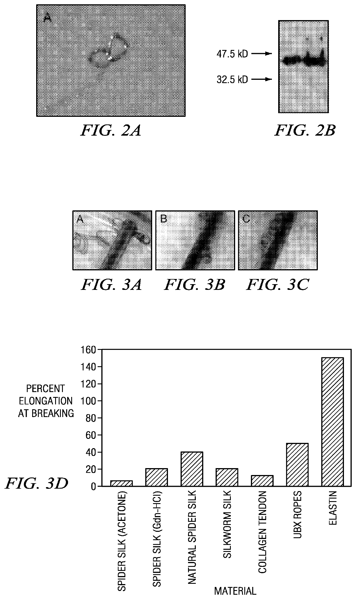 Self-assembly of protein-based biomaterials with multiple morphologies