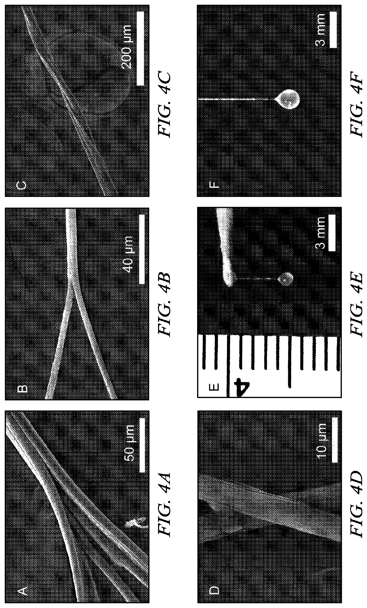 Self-assembly of protein-based biomaterials with multiple morphologies