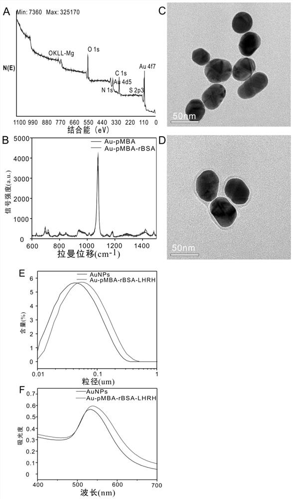 A method for detecting circulating tumor cells based on surface-enhanced Raman spectroscopy probe