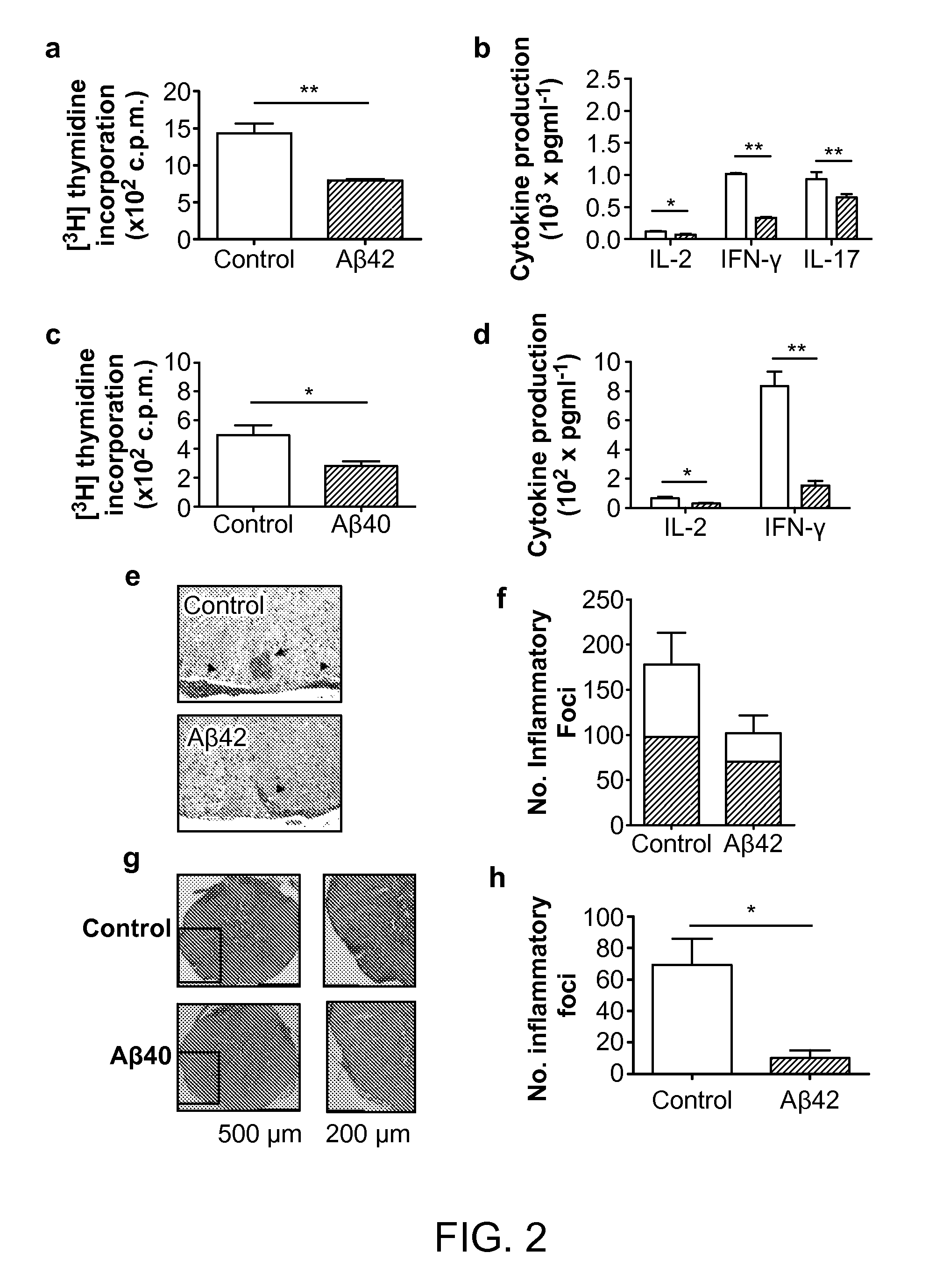 Amyloid Beta Peptides as a Therapy for Inflammation