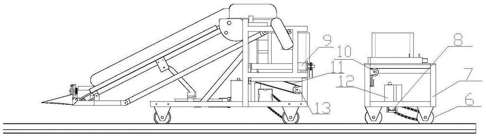 Automatic conveying device of leafy vegetable harvesting robot and control method