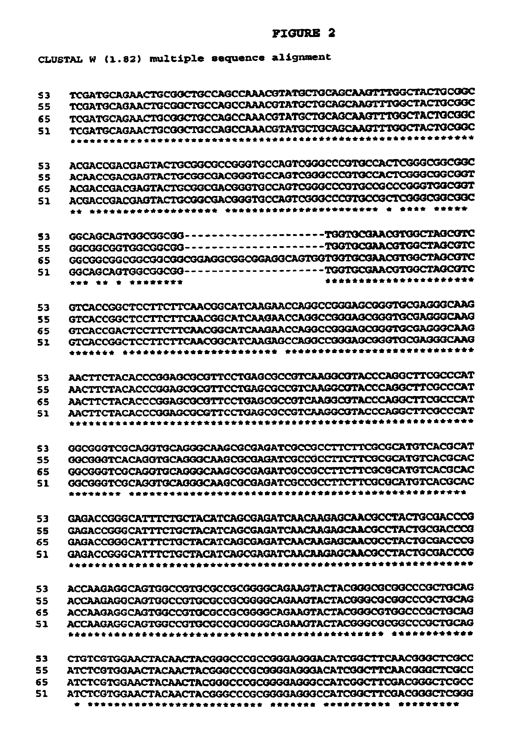 Nucleic acid encoding a chitinase and methods of using it to make fungal resistant plants