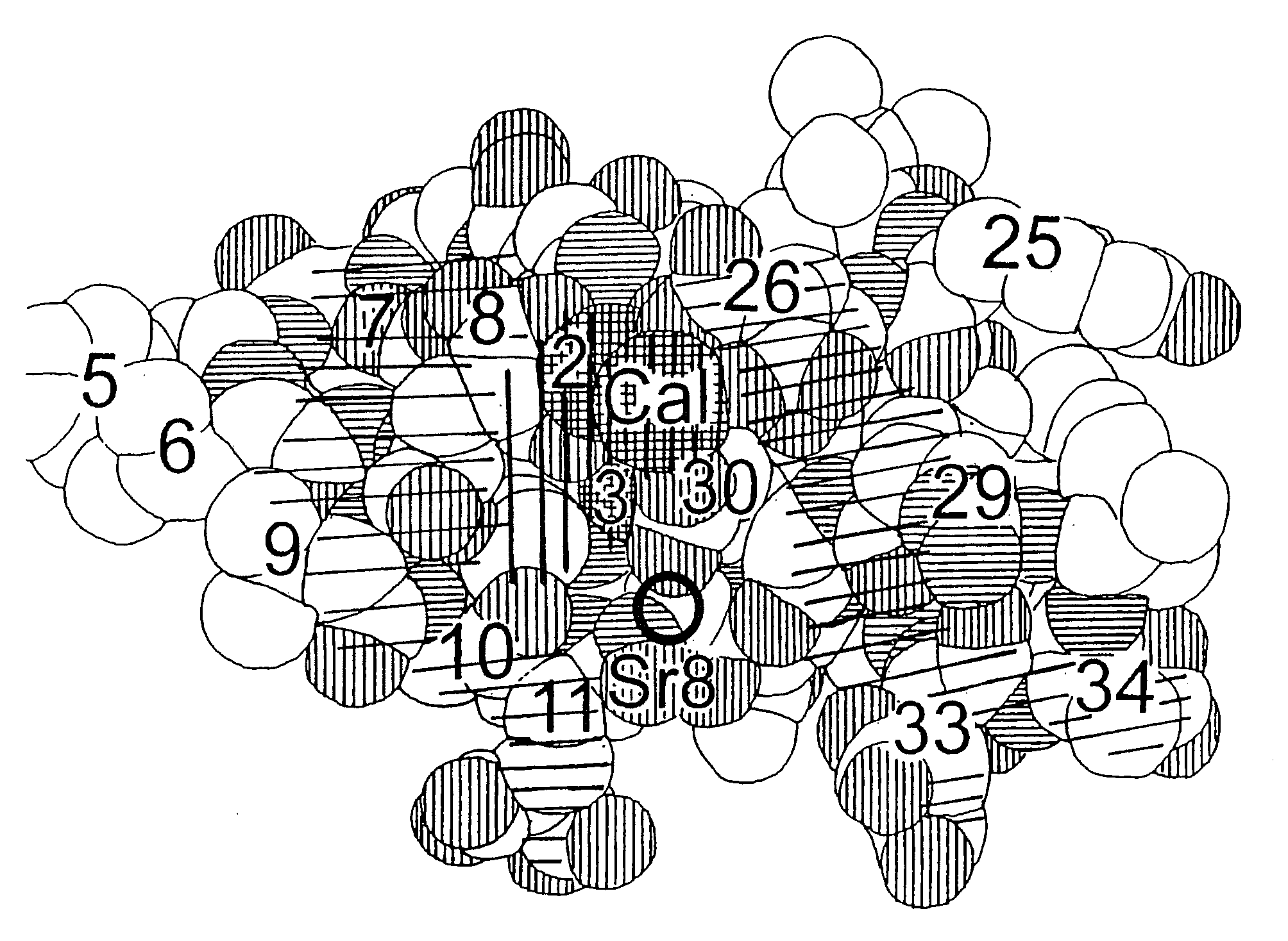 Modified vitamin k-dependent polypeptides