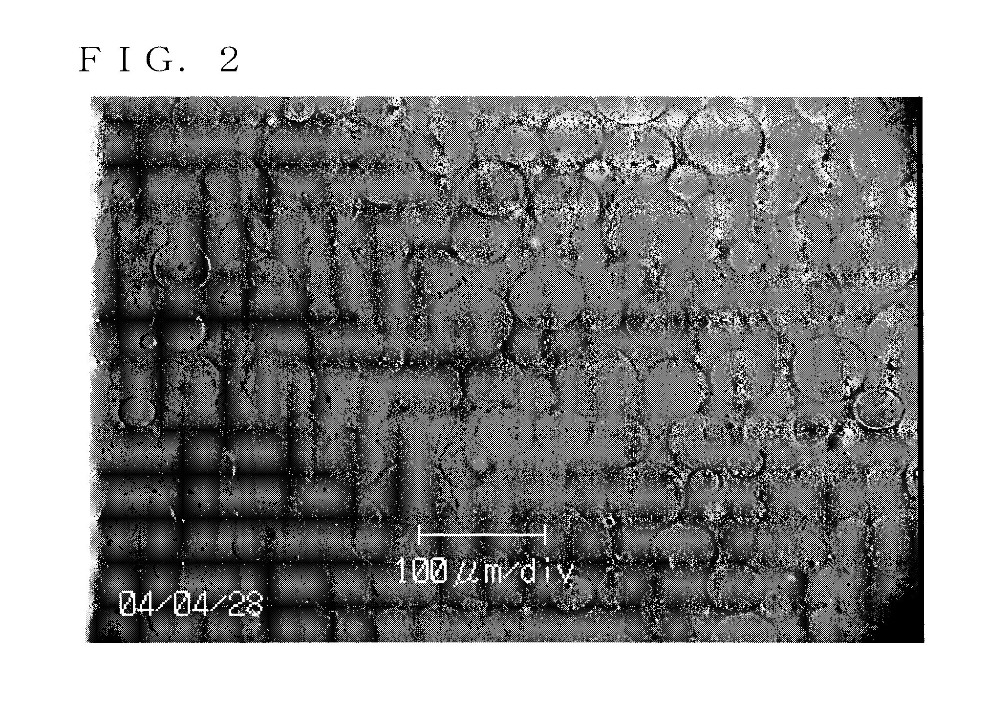 Process for the production of polymer microparticles