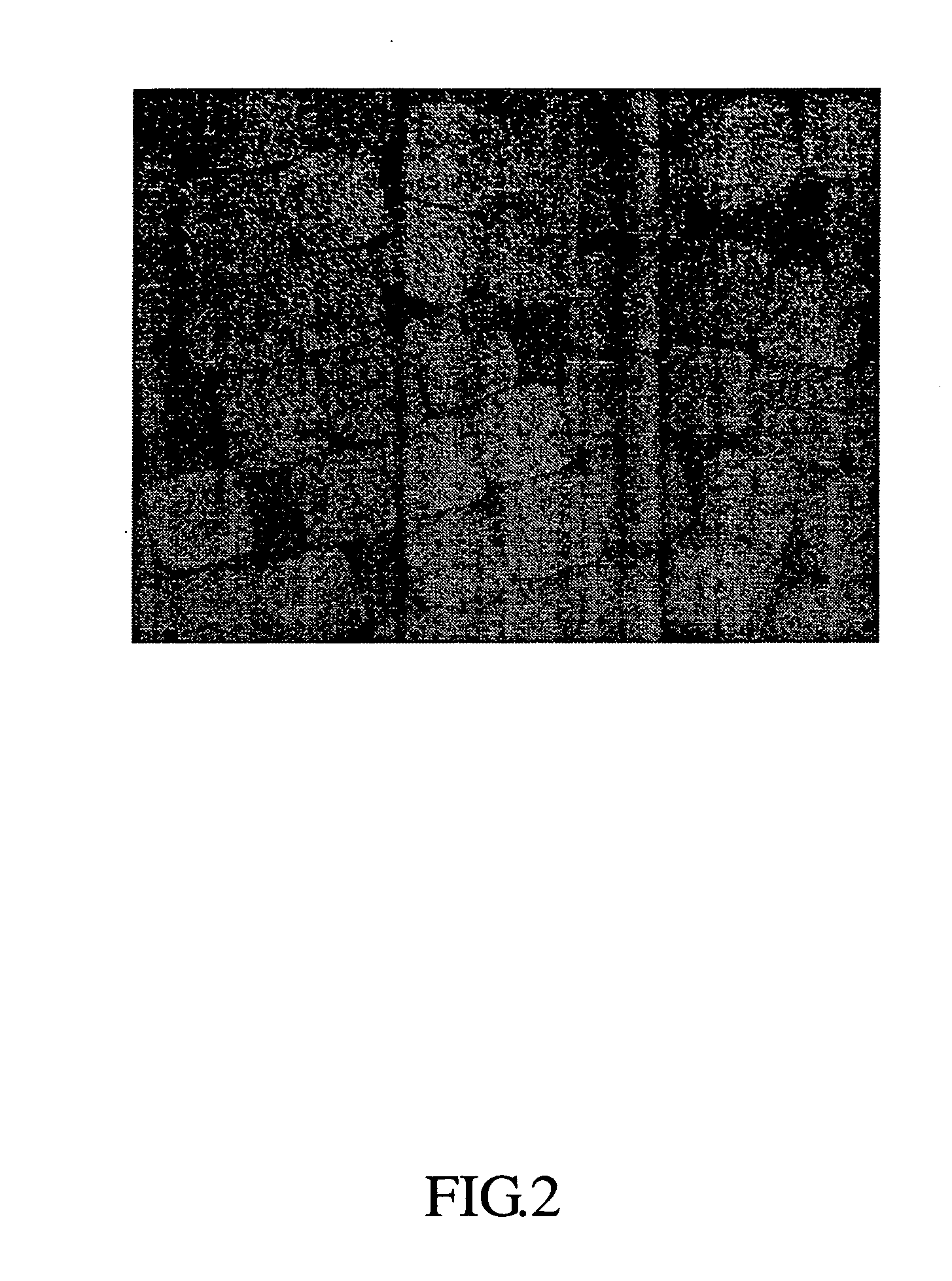 Novel fibers, high airtightness fabrics and a fabrication method thereof