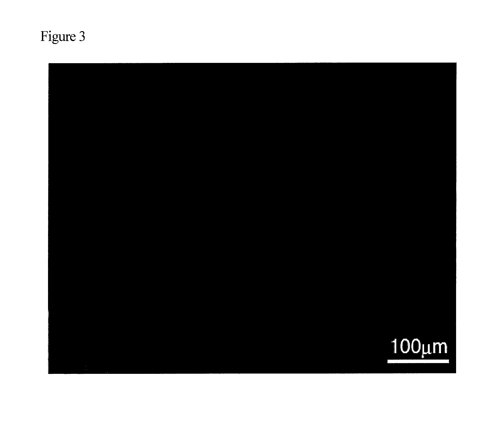 Method for producing pluripotent cell using bacterium having fermentation ability