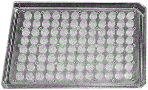 High-throughput enzyme sensor and method for detecting urea in human urine