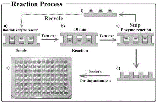 High-throughput enzyme sensor and method for detecting urea in human urine