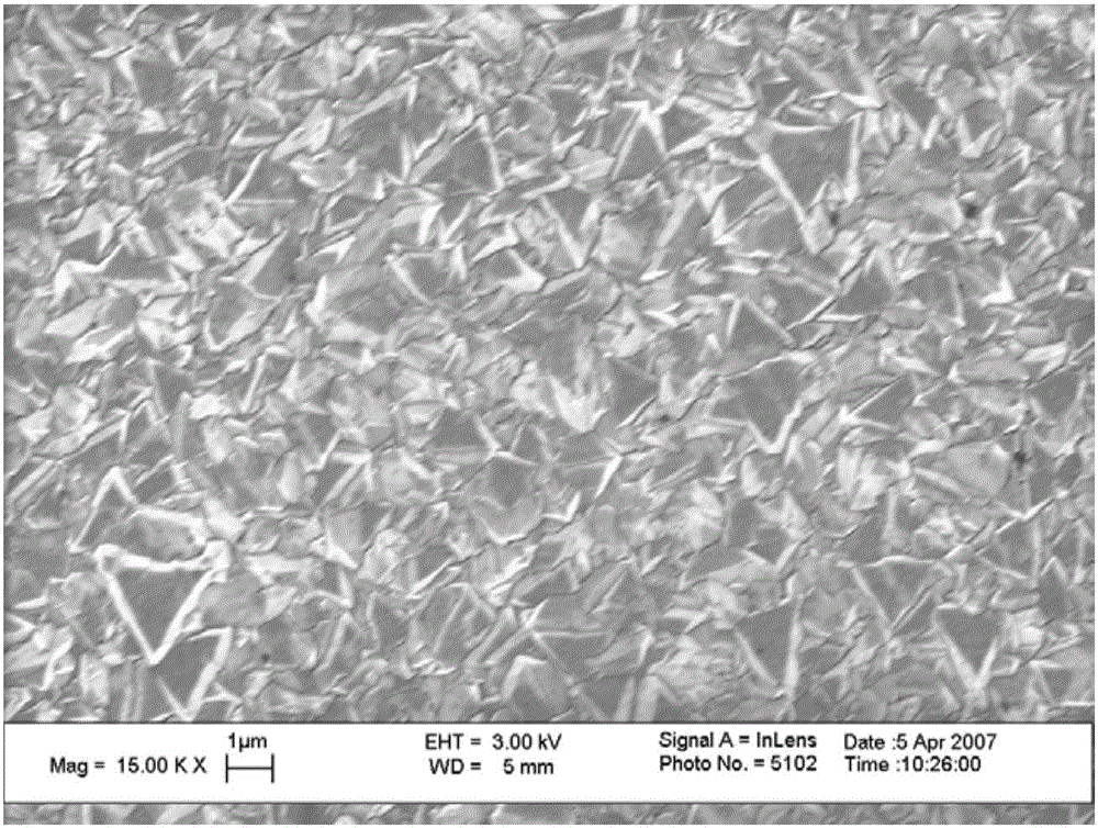 In-vivo platelet instant label-free detection system and detection method