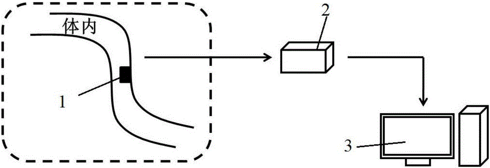 In-vivo platelet instant label-free detection system and detection method