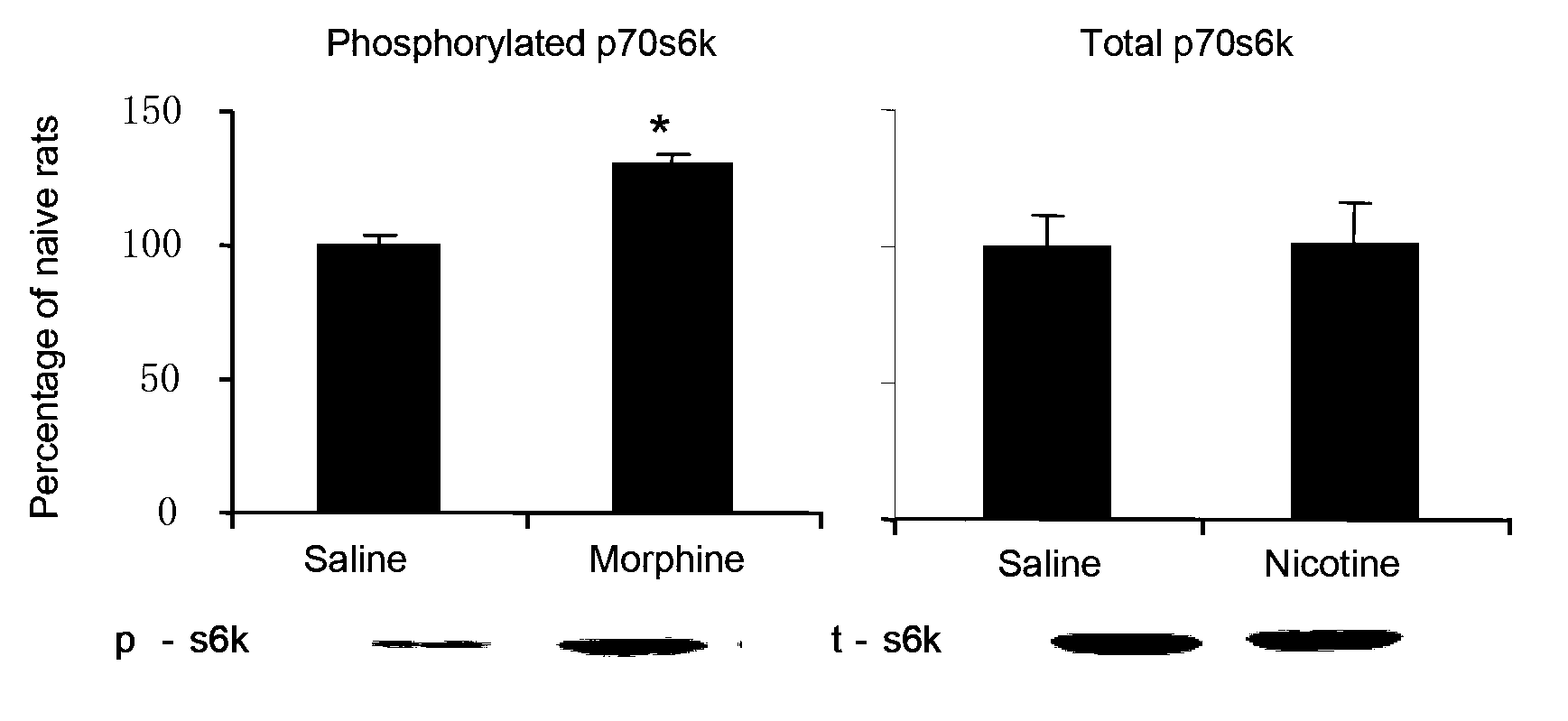 Application of mTOR (mammalian Target of Rapamycin) serving as target to screening of medicament for treating nicotine addiction
