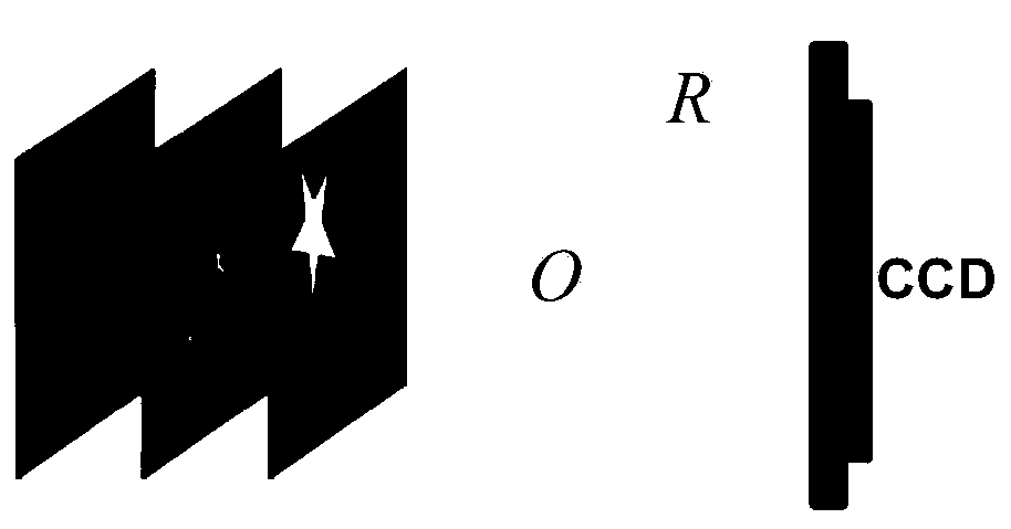 Method for quickly identifying and focusing target object with interferents in digital holography