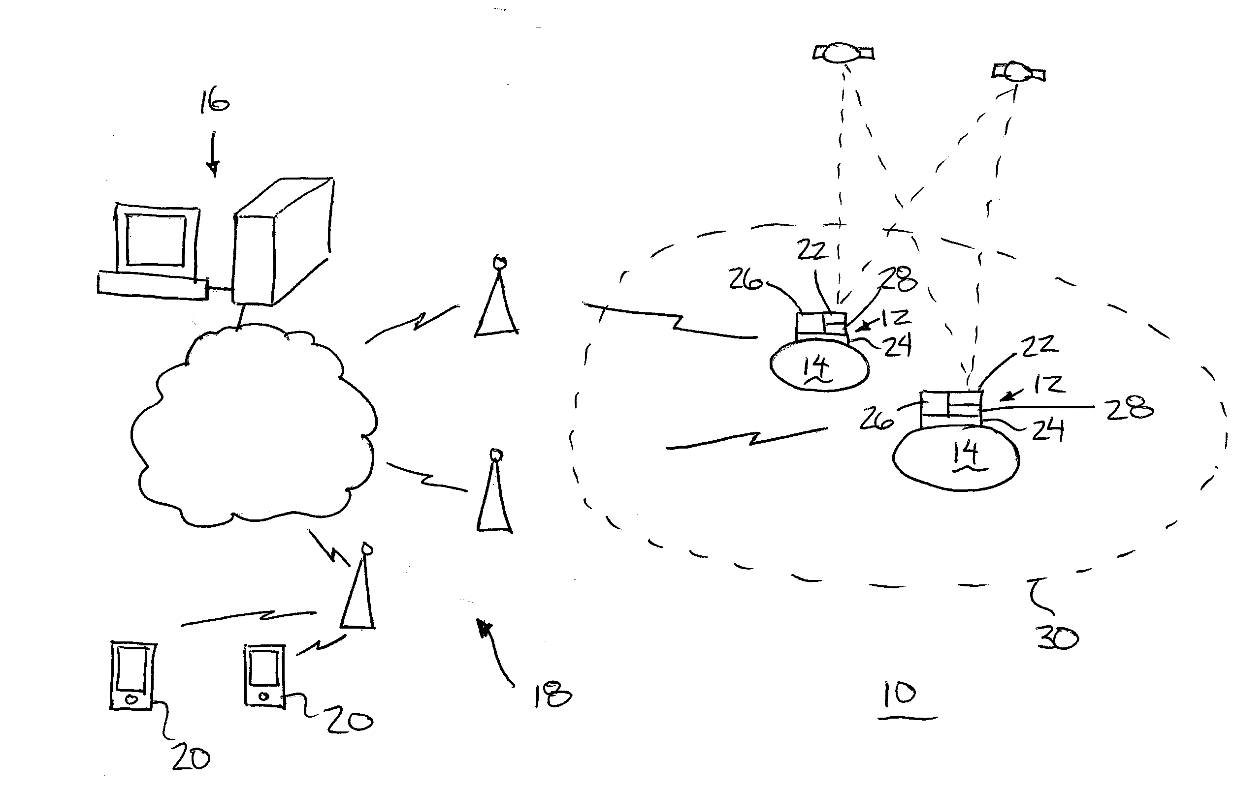 Animal Monitoring System and Method