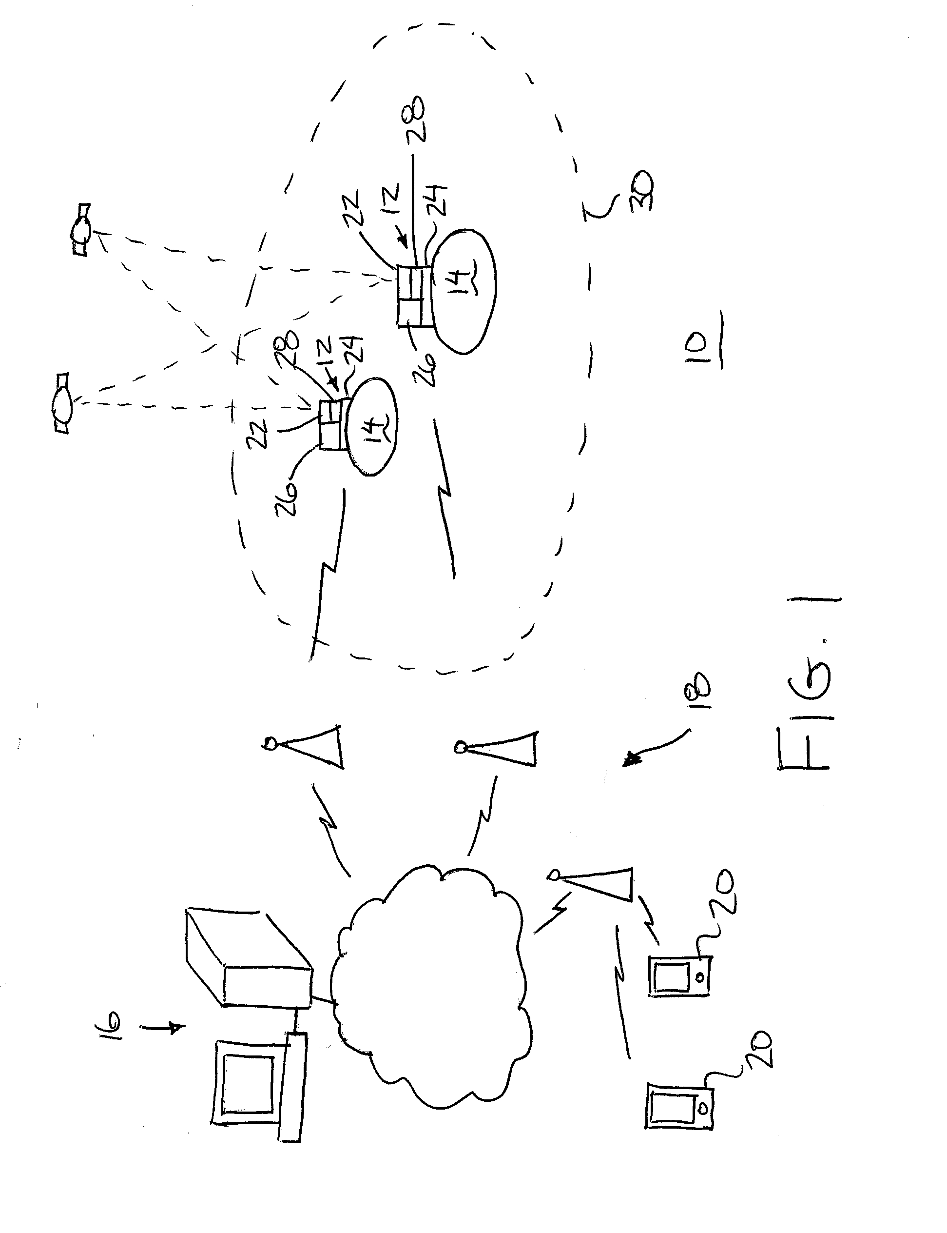 Animal Monitoring System and Method