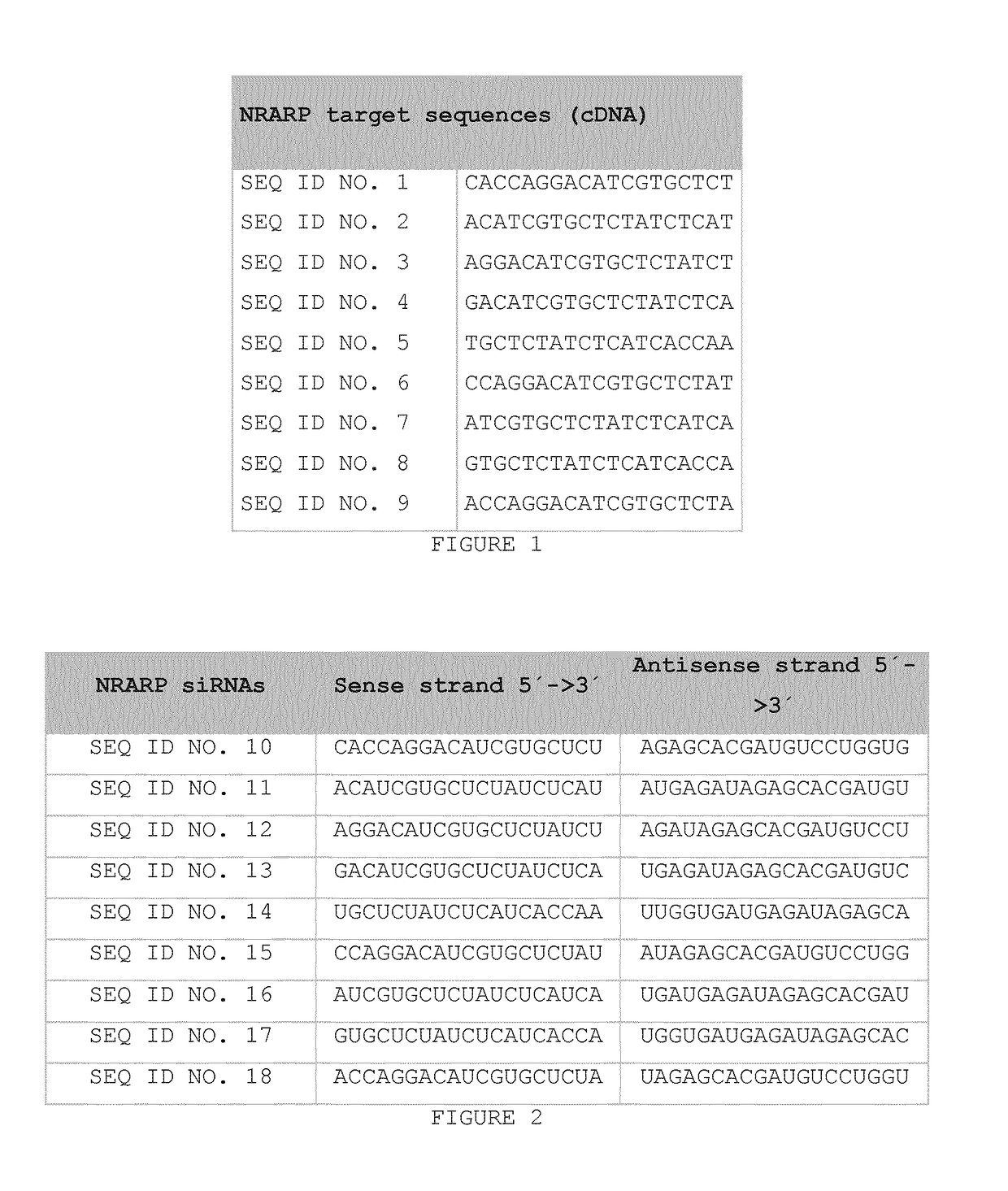 Sirna and their use in methods and compositions for inhibiting the expression of the nrarp gene