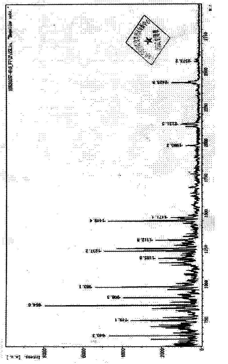 Walnut low molecular weight polypeptide and preparation method thereof