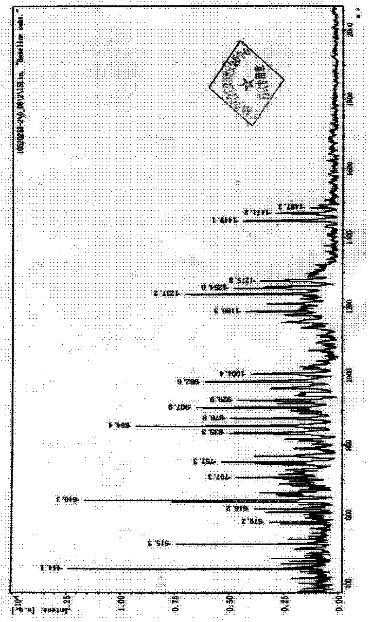 Walnut low molecular weight polypeptide and preparation method thereof
