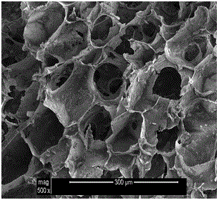 Inorganic/organic diphase nano composite bone tissue engineering scaffold and preparation method thereof