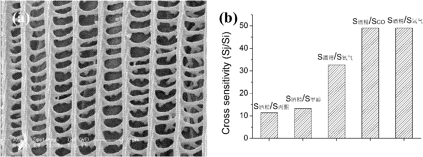 Method for preparing ethanol sensitive material with fine graded porous structure