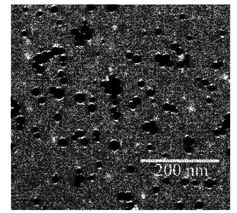 Method for preparing nano-gold