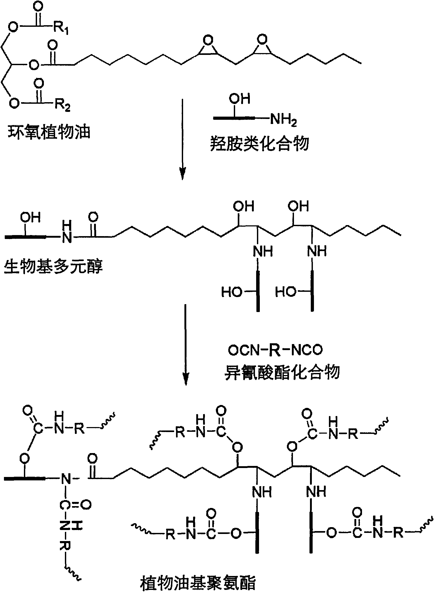 Preparation method of organism-based polyalcohol based on epoxidized plant oil and hydroxylamine compound