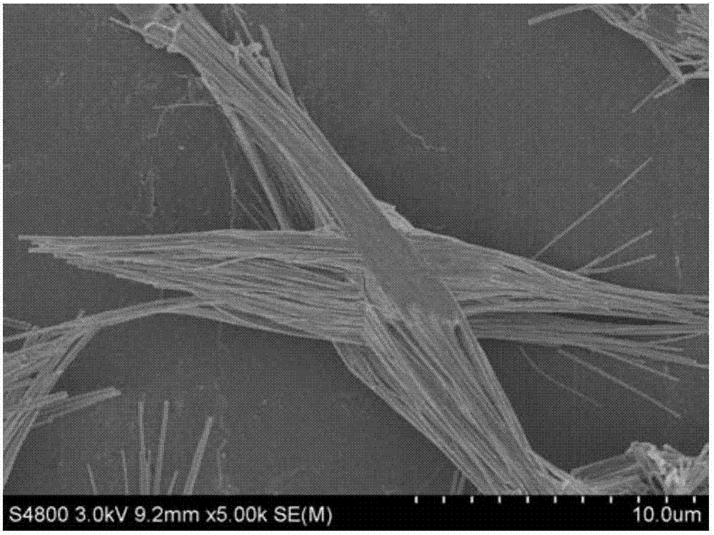 Manganese molybdate micro-nano bundle and method for preparing same