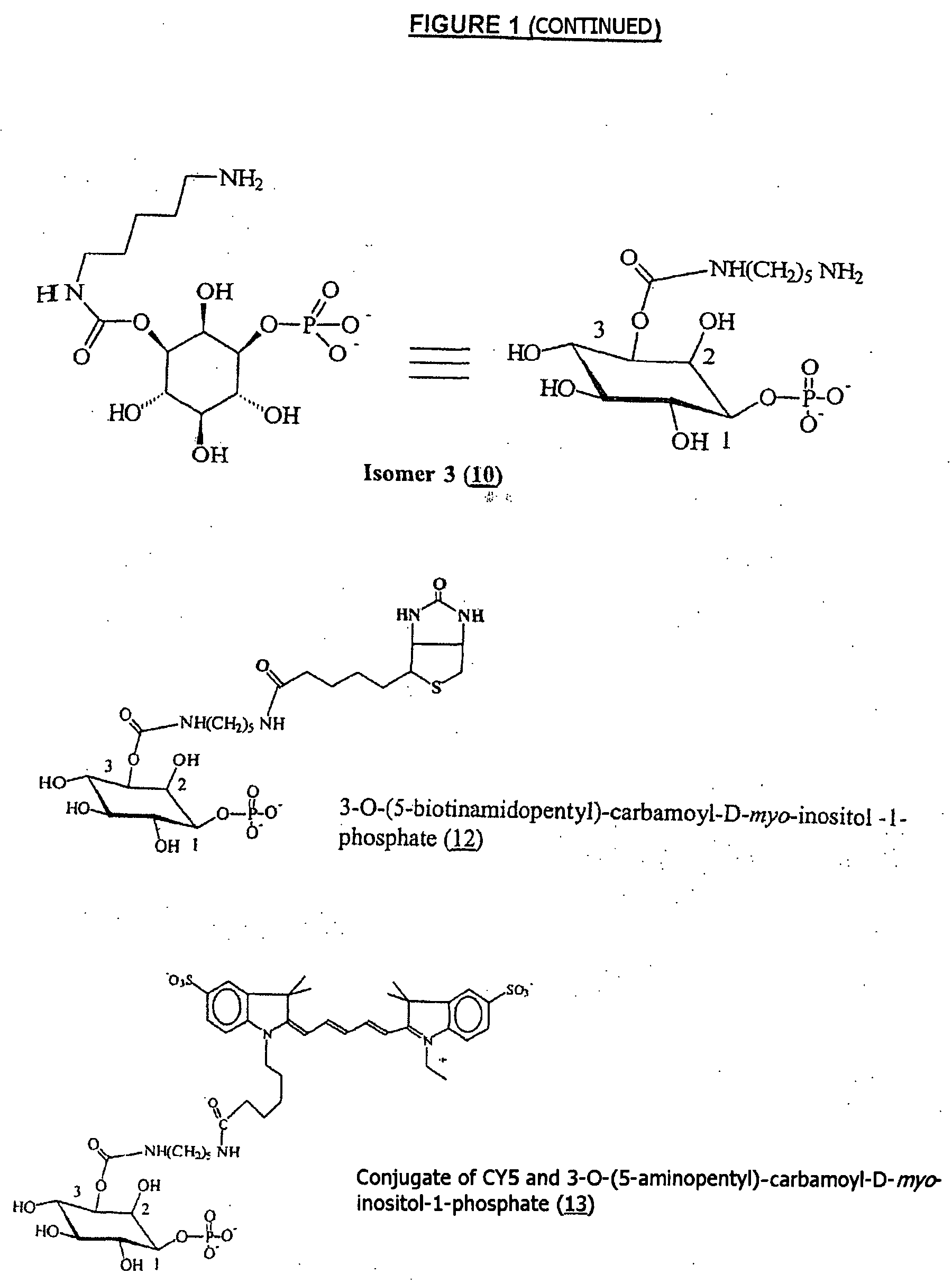 Inositol-Phosphate Derivatives and Method of Detecting Inositol-1-Phosphate
